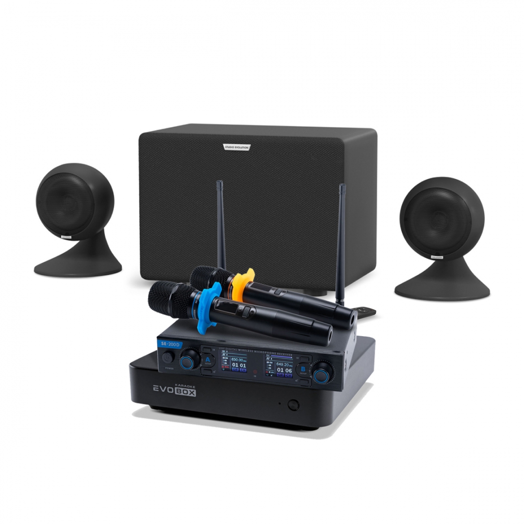 караоке-комплект EVOBOX + EvoSound Sphere 2.1 в Кудымкаре
