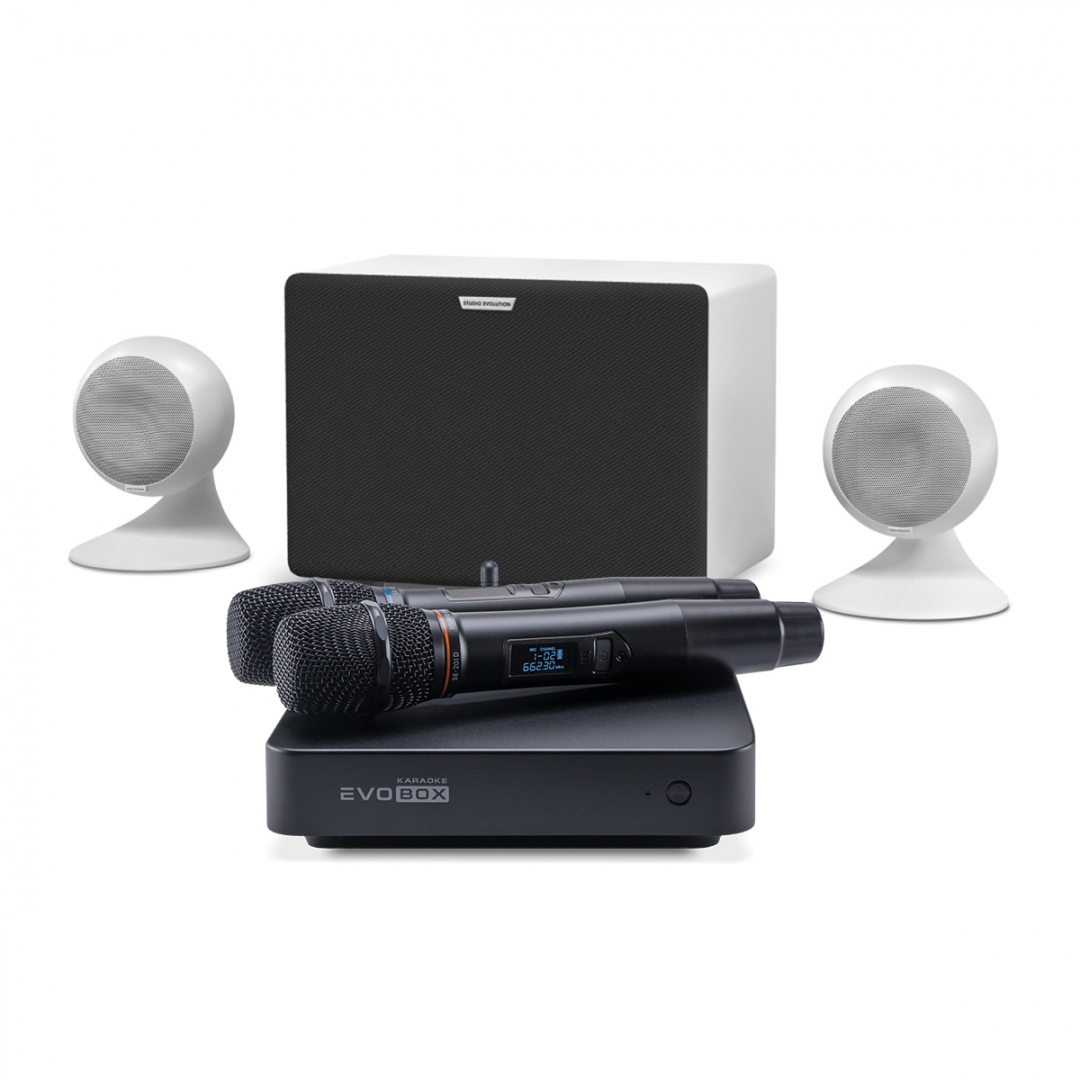 караоке-комплект EVOBOX Classic + EvoSound Sphere 2.1 в Кудымкаре