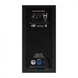 Активная акустическая система AST-312A в Кудымкаре