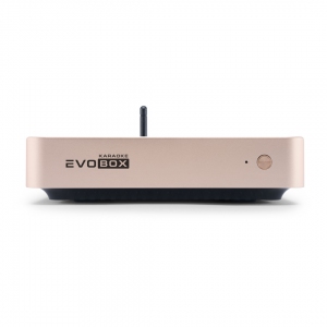 EVOBOX Plus караоке-система для дома в Кудымкаре