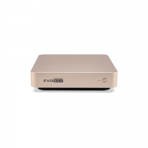 EVOBOX с микрофонами в Кудымкаре